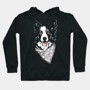 Border Collie Love Hoodie